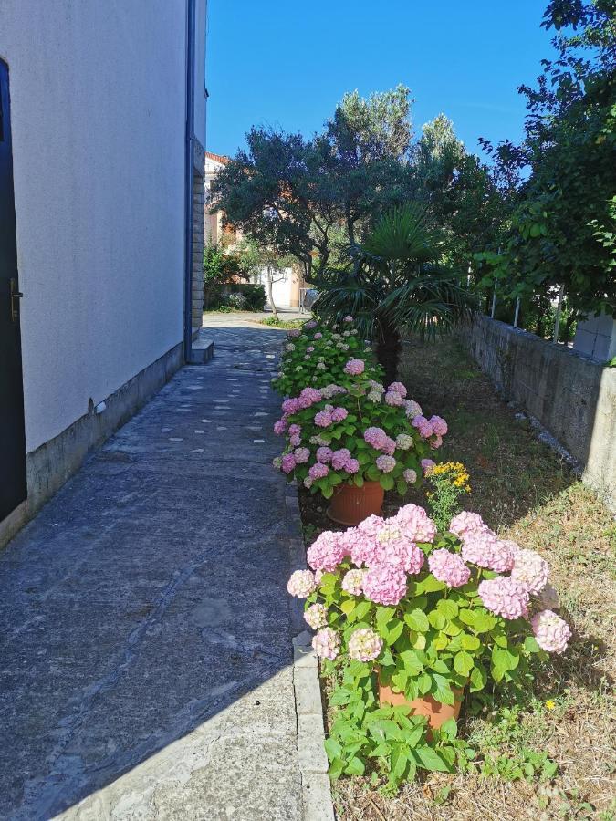 Bugenvila Rogoznica  Zewnętrze zdjęcie